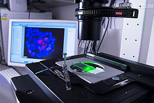 ����ҽҩ����Ч��