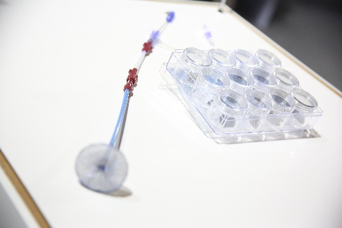 ���������ಡȱ����װ��