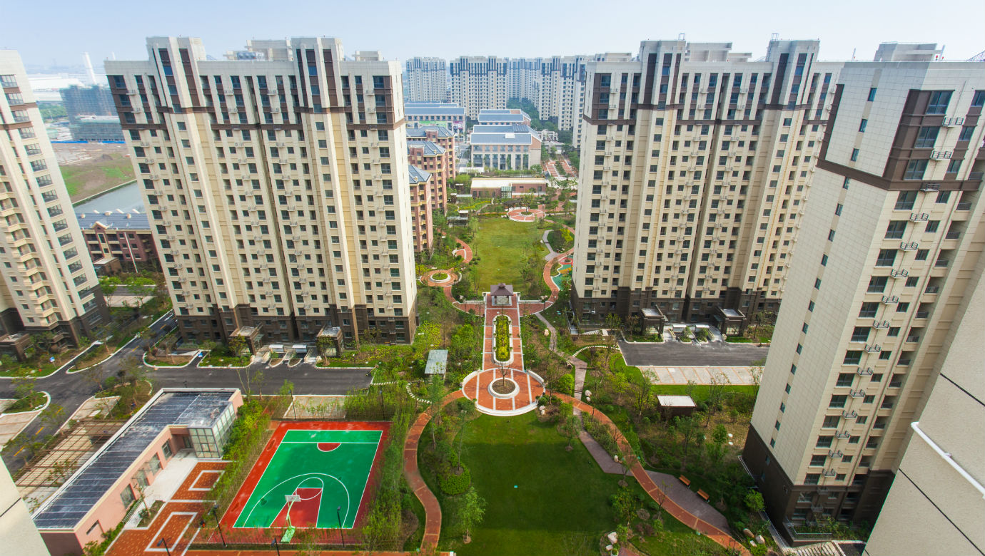 ��ϵ����