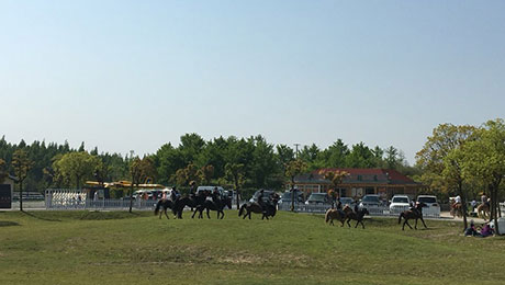 ����ɭ�ֹ�԰